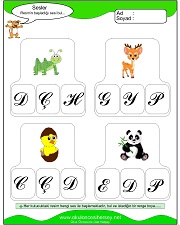 Resmin Başladığı Sesi Bul